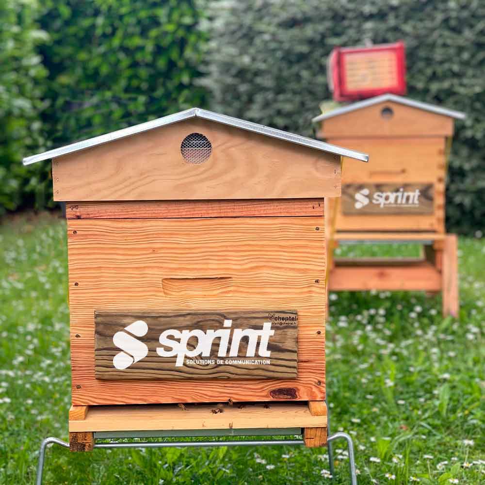 Sprint - RSE, Engagement pour la solidarité et la biodiversité